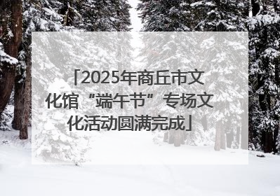 2025年商丘市文化馆“端午节”专场文化活动圆满完成