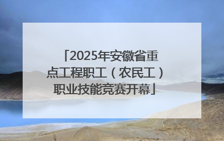 2025年安徽省重点工程职工（农民工）职业技能竞赛开幕