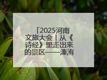 2025河南文旅大会丨从《诗经》里走出来的景区——溱洧水城开街迎宾
