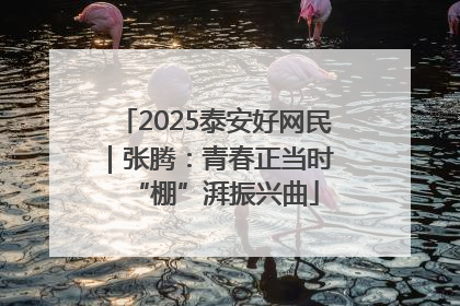 2025泰安好网民｜张腾：青春正当时 “棚”湃振兴曲