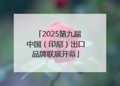 2025第九届中国（印尼）出口品牌联展开幕