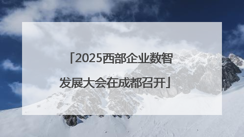 2025西部企业数智发展大会在成都召开