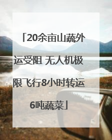 20余亩山蔬外运受阻 无人机极限飞行8小时转运6吨蔬菜