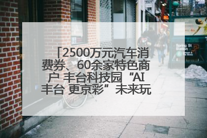 2500万元汽车消费券、60余家特色商户 丰台科技园“AI丰台 更京彩”未来玩家市集活动正式开幕