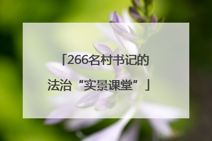 266名村书记的法治“实景课堂”