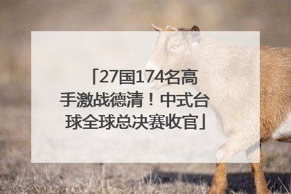 27国174名高手激战德清！中式台球全球总决赛收官