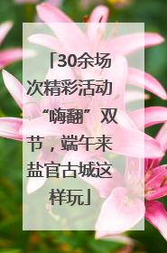 30余场次精彩活动“嗨翻”双节，端午来盐官古城这样玩