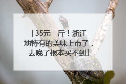 35元一斤！浙江一地特有的美味上市了，去晚了根本买不到