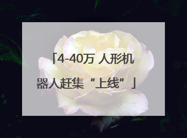 4-40万 人形机器人赶集“上线”
