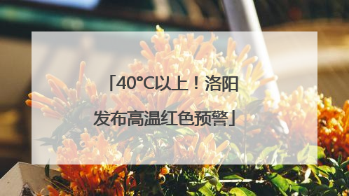 40°C以上！洛阳发布高温红色预警