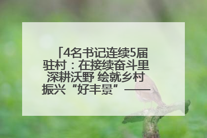 4名书记连续5届驻村：在接续奋斗里深耕沃野 绘就乡村振兴“好丰景”——浦发银行南京分行助力脱贫攻坚、帮促乡村振兴记事（二）