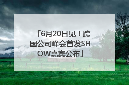 6月20日见！跨国公司峰会首发SHOW嘉宾公布