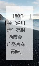 80余种“通川造”亮相西博会 广受客商青睐