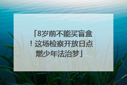 8岁前不能买盲盒！这场检察开放日点燃少年法治梦
