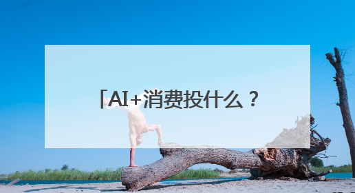 AI+消费投什么？资深投资人告诉你