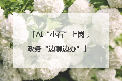 AI“小石”上岗，政务“边聊边办”