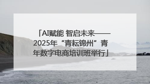 AI赋能 智启未来——2025年“青耘锦州”青年数字电商培训班举行