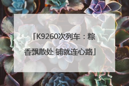 K9260次列车：粽香飘散处 铺就连心路