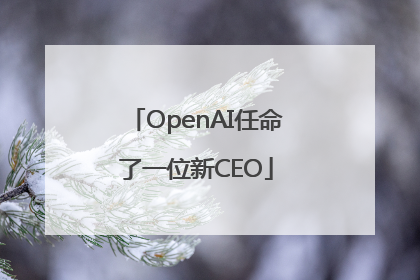 OpenAI任命了一位新CEO