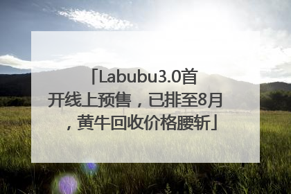 Labubu3.0首开线上预售，已排至8月，黄牛回收价格腰斩
