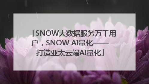 SNOW大数据服务万千用户，SNOW AI量化——打造亚太云端AI量化