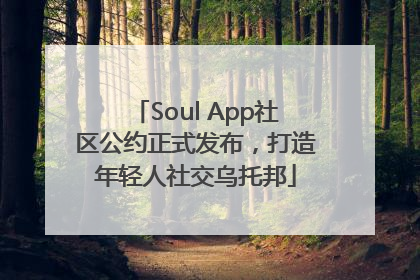 Soul App社区公约正式发布，打造年轻人社交乌托邦